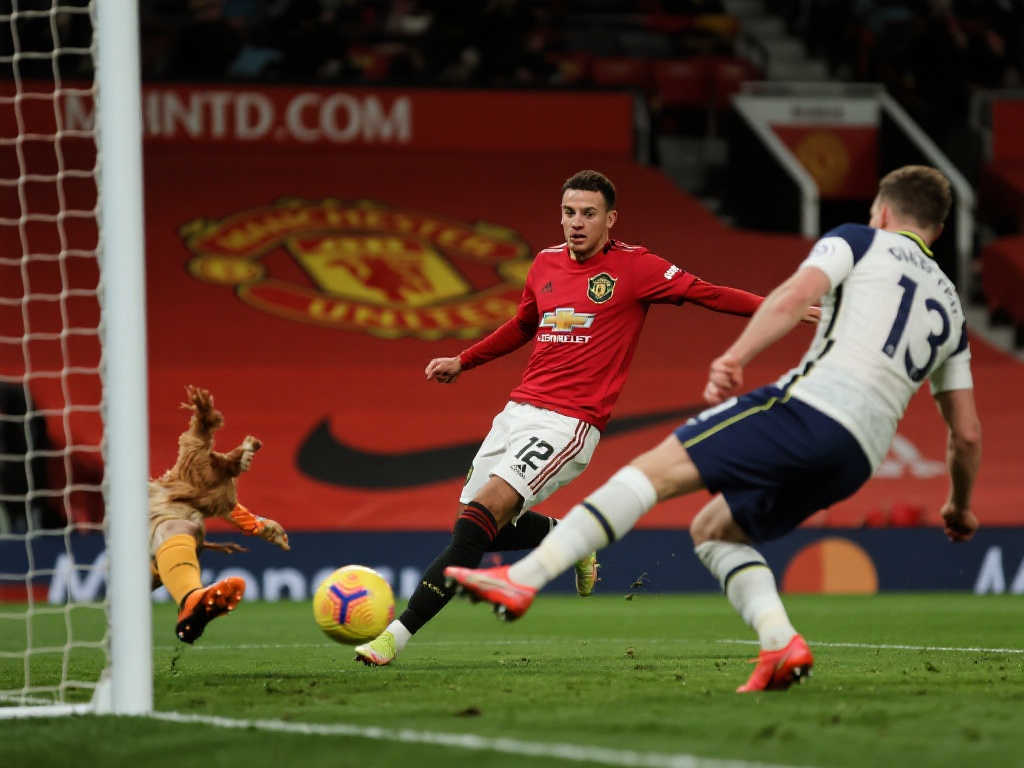 素质上获得 素质上获得