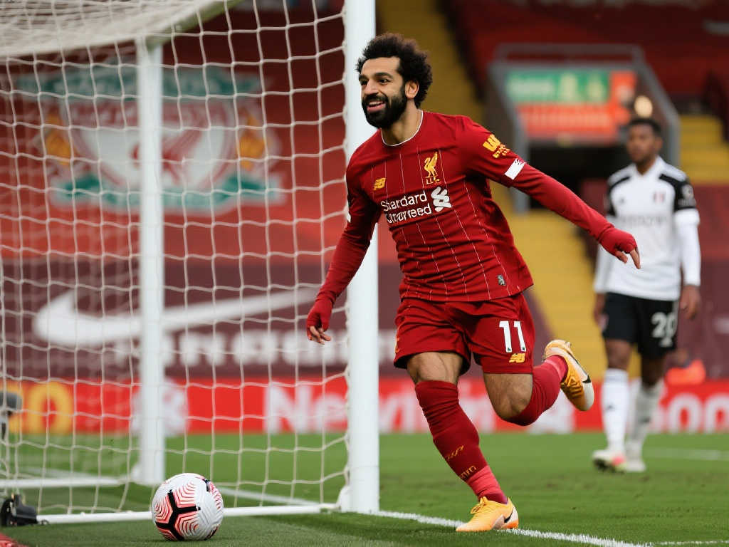 发了广泛关 发了广泛关